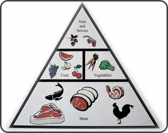 DietPyramid.jpg